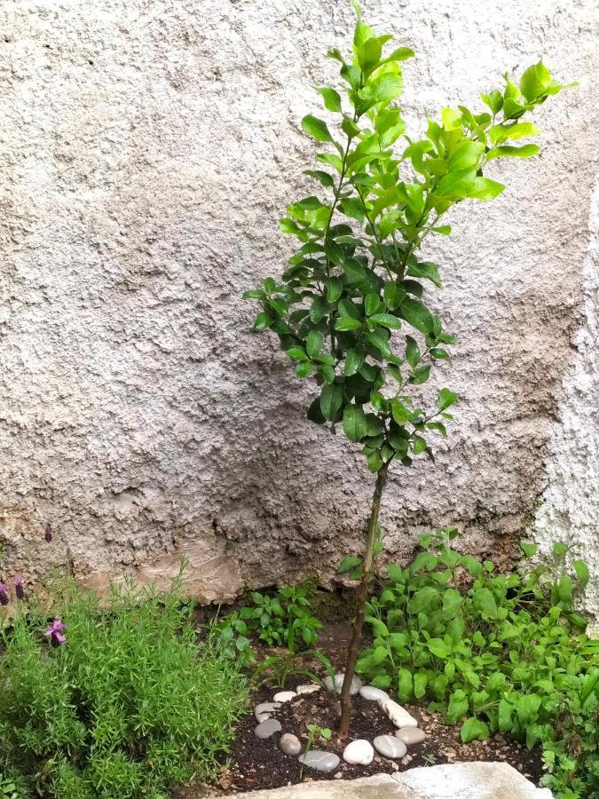 Vila La Loggia 34 Palermo Exteriér fotografie